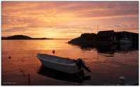Manneshavn. Foto: Erling Jensen